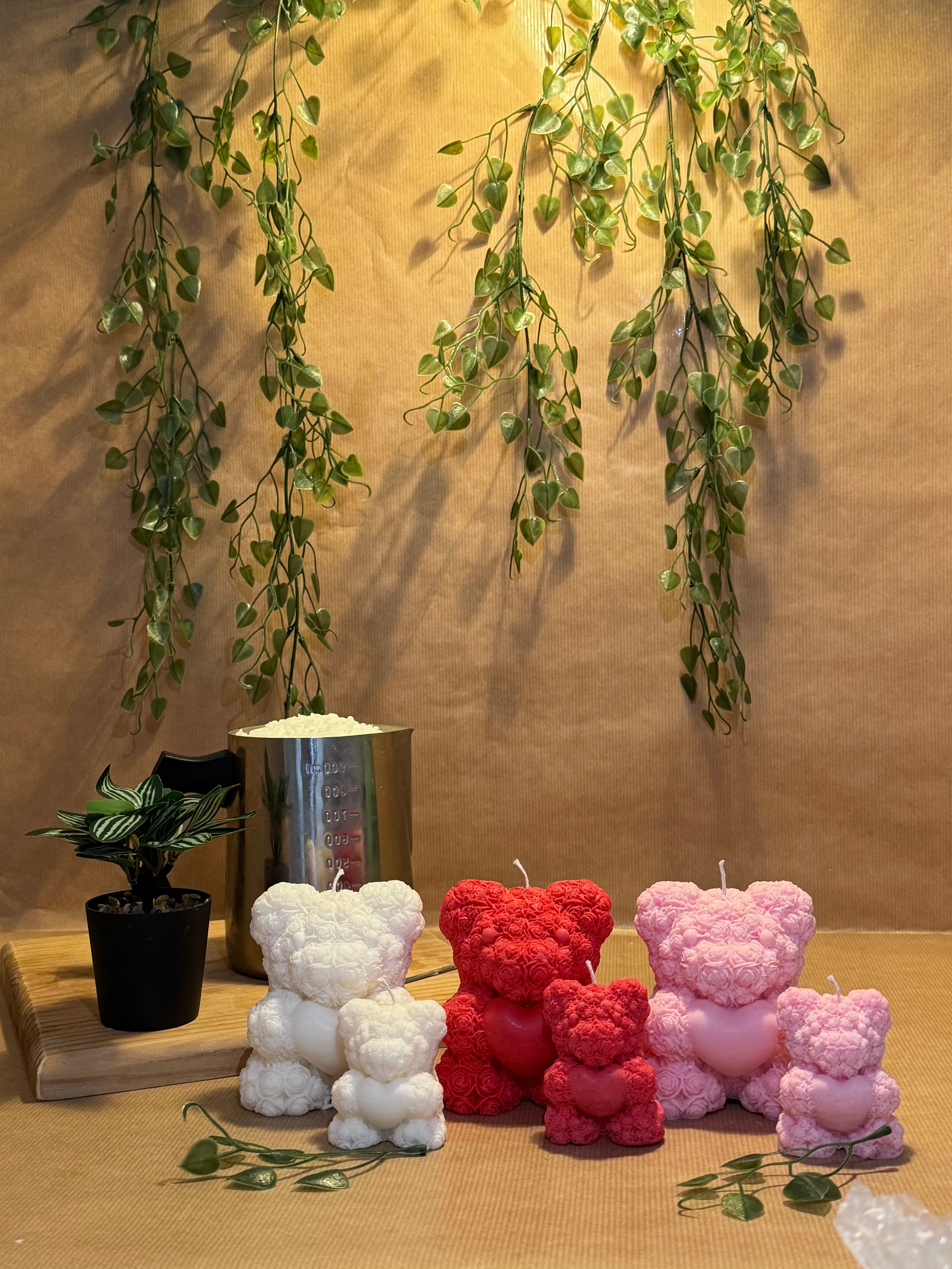 Collection Nounours 🧸